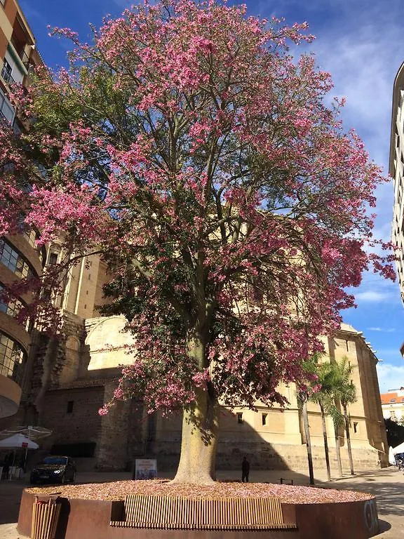 Apartament Don Juan De Malaga 2 La Catedral Hiszpania