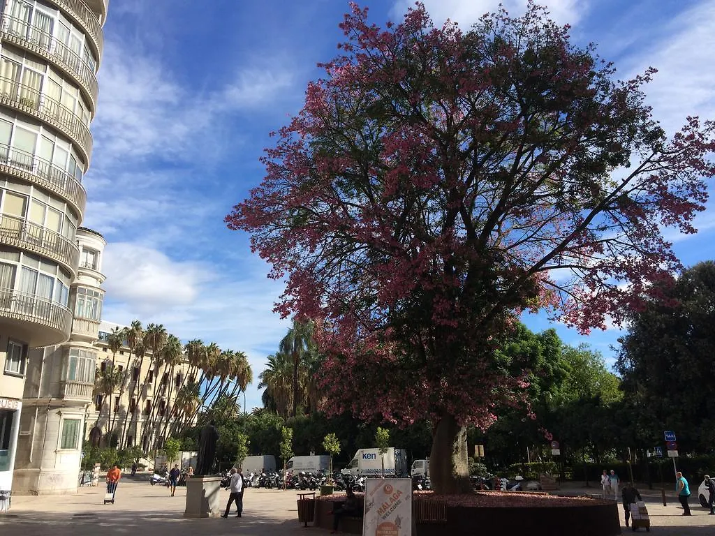 Apartament Don Juan De Malaga 2 La Catedral Hiszpania